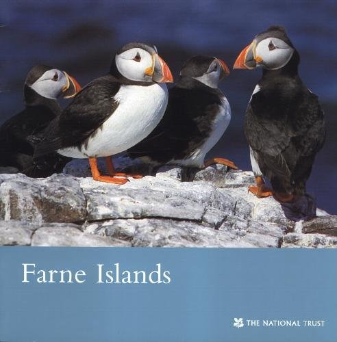 Farne Islands, Northumberland