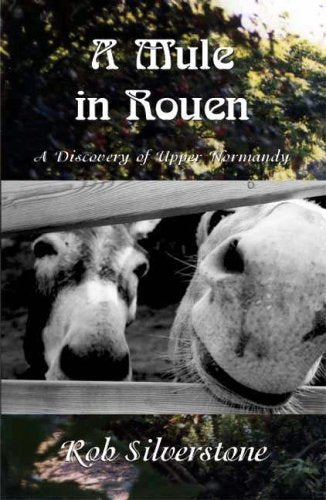 A Mule in Rouen
