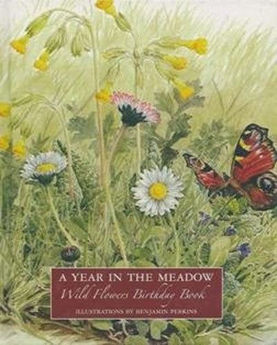 A Year in the Meadow