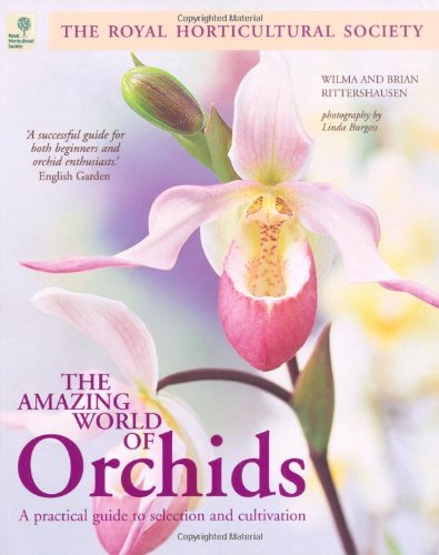 The Amazing World of Orchids