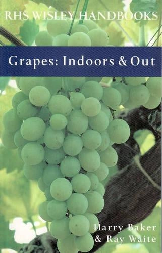 Grapes