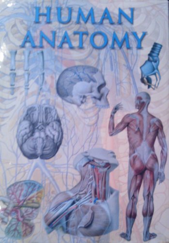 Human Anatomy