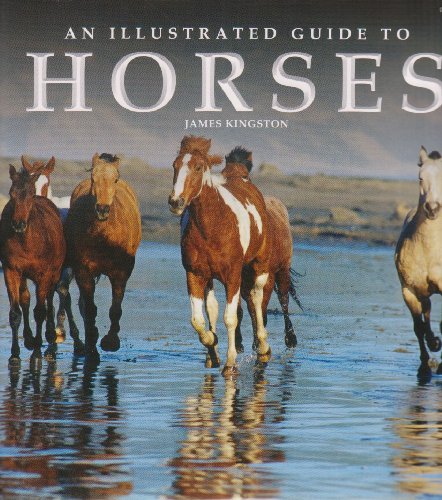 An Illustrated Guide to Horses