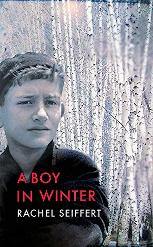 A Boy in Winter