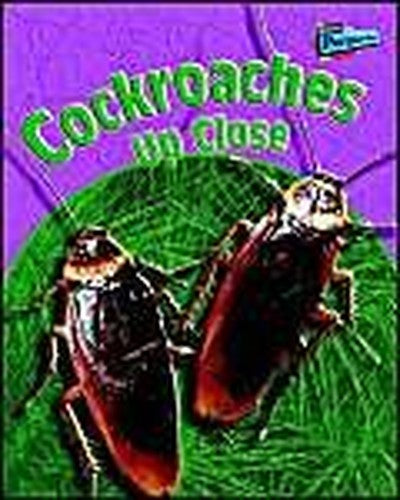 Cockroaches Up-Close