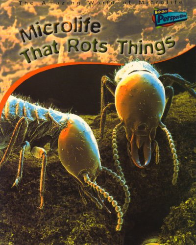 Perspectives: Amazing World of Microlife That Rots