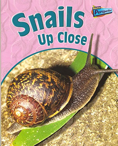 Snails Up Close