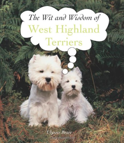 West Highlands Terriers