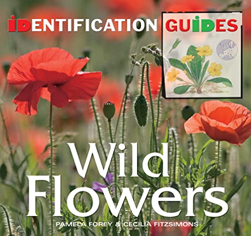 Wild Flowers