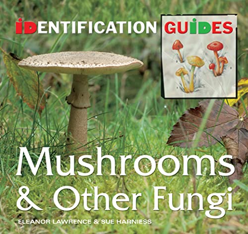 Mushrooms & Other Fungi