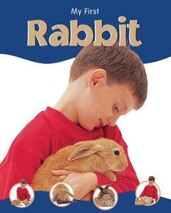 Rabbit 