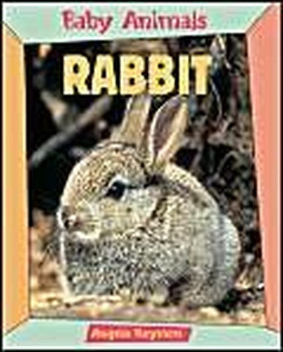 BABY ANIMALS RABBIT