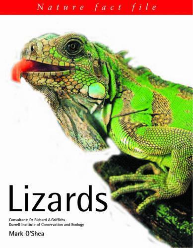 Lizards