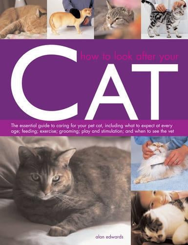How to Look After Your Cat