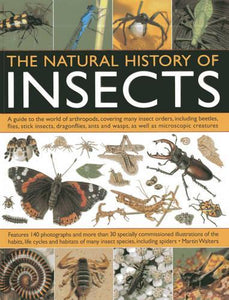 Natural History of Insects 