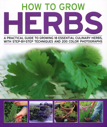 How to Grow Herbs