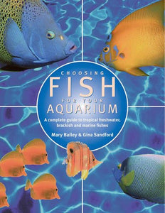 Choosing Fish for Your Aquarium 