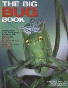 The Big Bug Book 