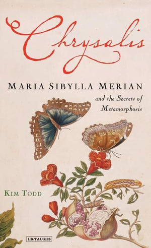 Chrysalis