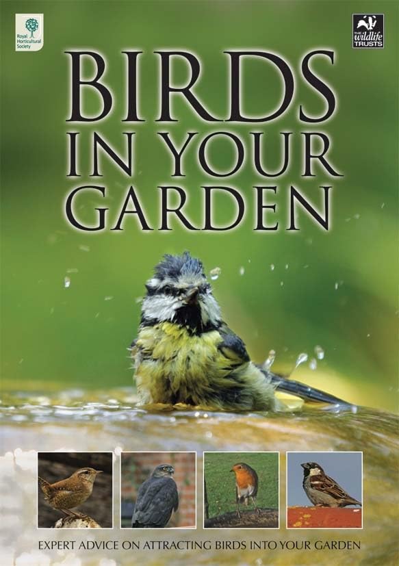 Birds in Your Garden