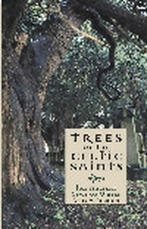 Trees of the Celtic Saints  The Ancient Yews of Wales