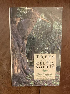 Trees of the Celtic Saints  The Ancient Yews of Wales 