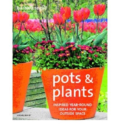 Pots and Plants