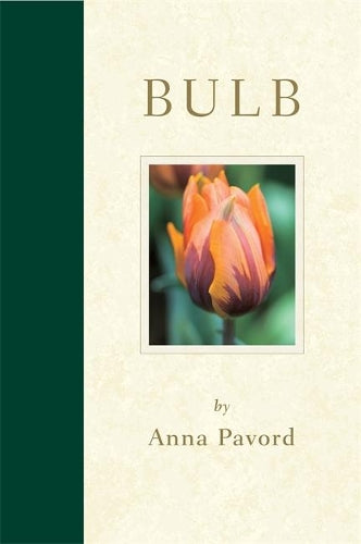 Bulb