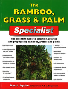 Bamboo Grass & Palm Specialist 