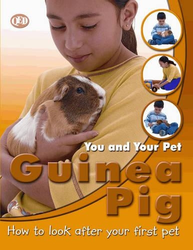 Guinea Pig
