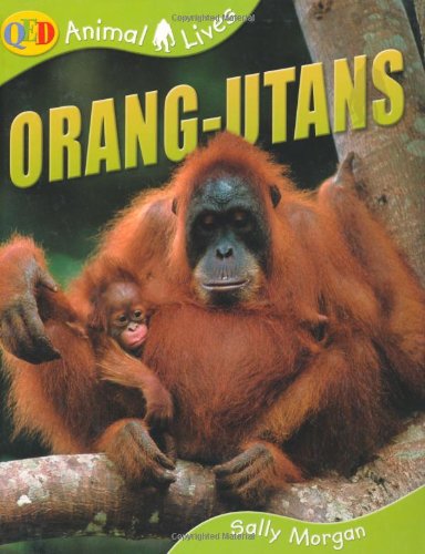 Orang-utans