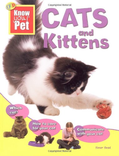 Kittens and Cats