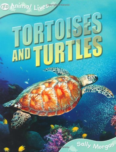 Tortoises and Turtles