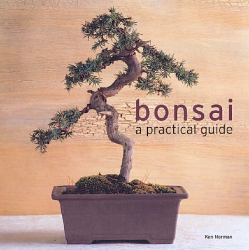 Bonsai