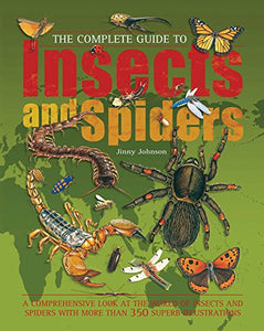Complete Guide to Insects and Spiders 