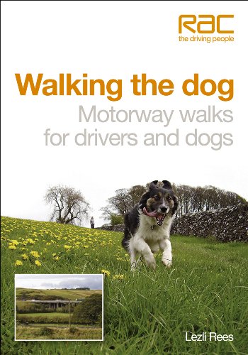 Walking the Dog