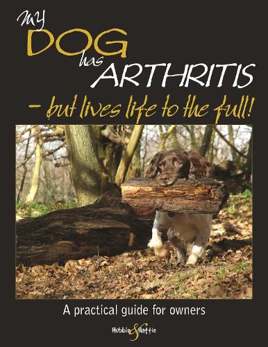 My Dog Has Arthritis