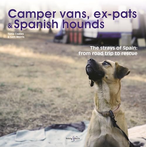 Camper Vans, Ex-Pats and Spanish Hounds