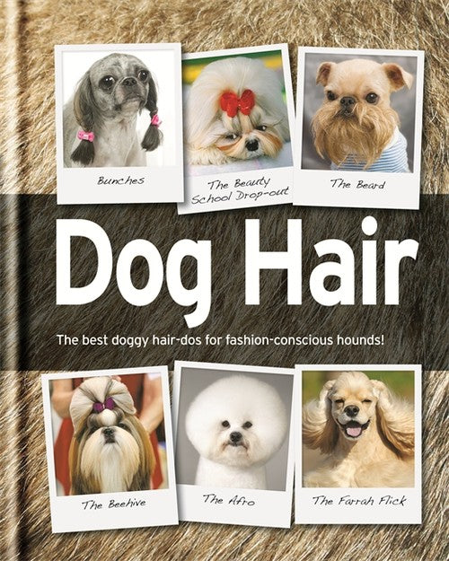 Dog Hair