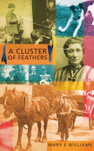 A Cluster of Feathers