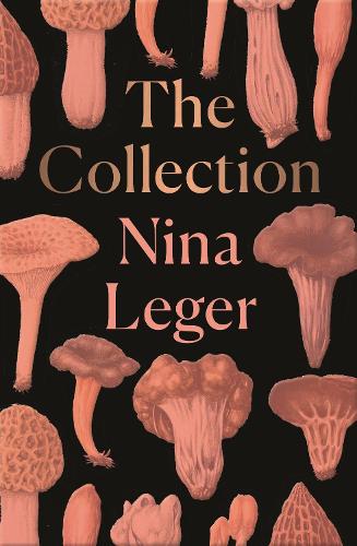 The The Collection