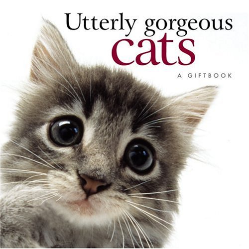 Utterly Gorgeous Cats