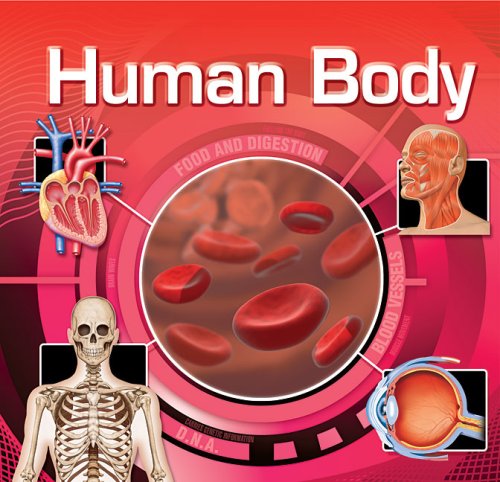 The Human Body