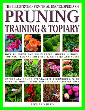 The Pruning, Training & Topiary, Illustrated Practical Encyclopedia of