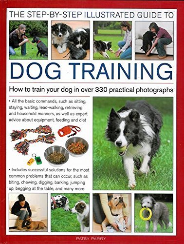 Dog Training