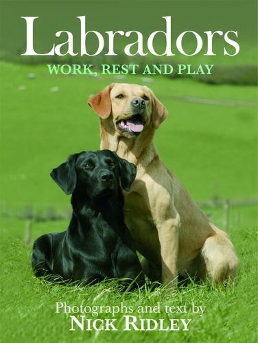 Labradors
