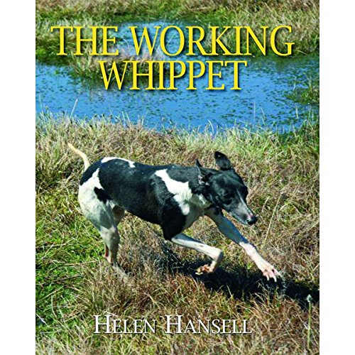 The Working Whippet