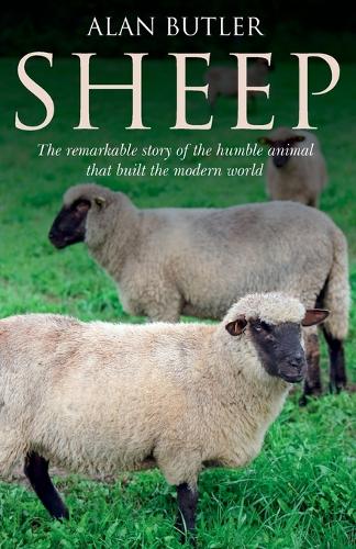 Sheep  The remarkable story of the humble animal that built the modern world.