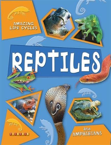 Amazing Life Cycles: Reptiles and Amphibians