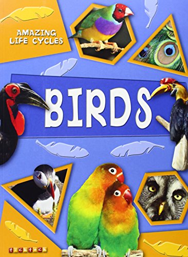 Amazing Life Cycles: Birds